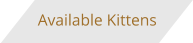 Available Kittens