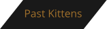 Past Kittens