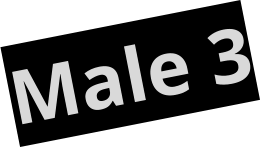 Male 3